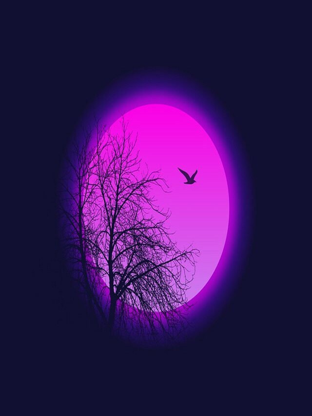 Pink Moon 2022: Night In Photo PinkMoon